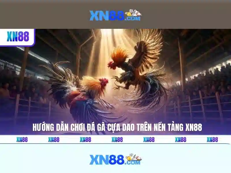 xn88: Đánh giá tổng quan về nền tảng cá cược trực tuyến an toàn và đáng tin cậy xn88: Đánh giá tổng quan về nền tảng cá cược trực tuyến an toàn và đáng tin cậy