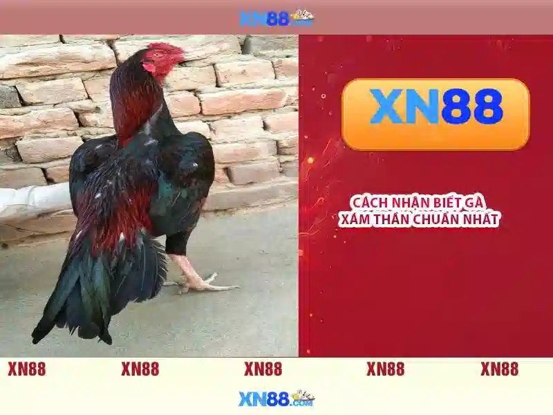 💎buy bonus slots💎 💎buy bonus slots💎