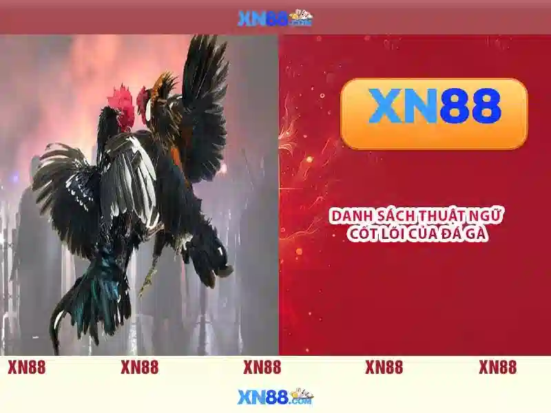 💎kết quả vòng loại euro kèo nhà cái💎 💎kết quả vòng loại euro kèo nhà cái💎