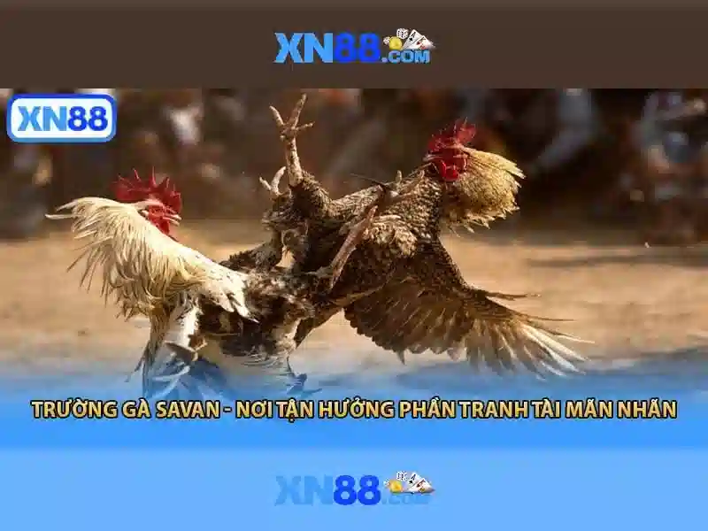 💎best site for online slots💎 💎best site for online slots💎