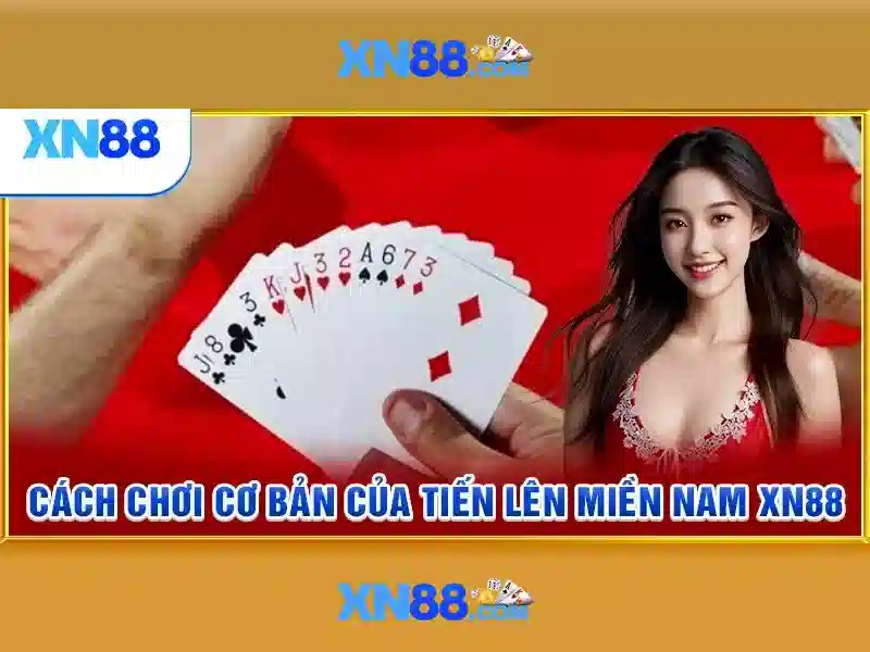 💎cá cược truyện review💎 💎cá cược truyện review💎