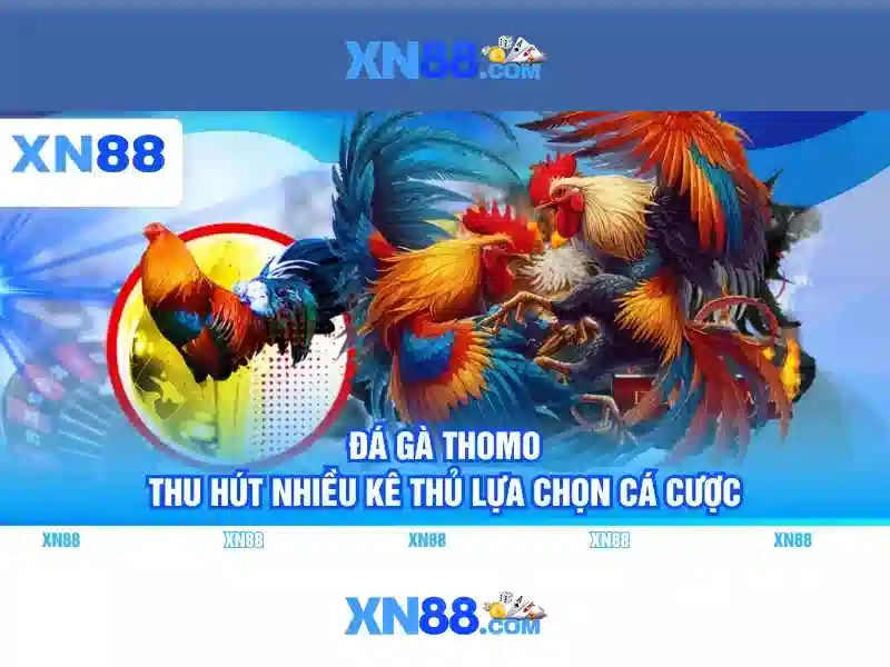 bảo vệ quyền lợi - xn88 bảo vệ quyền lợi - xn88
