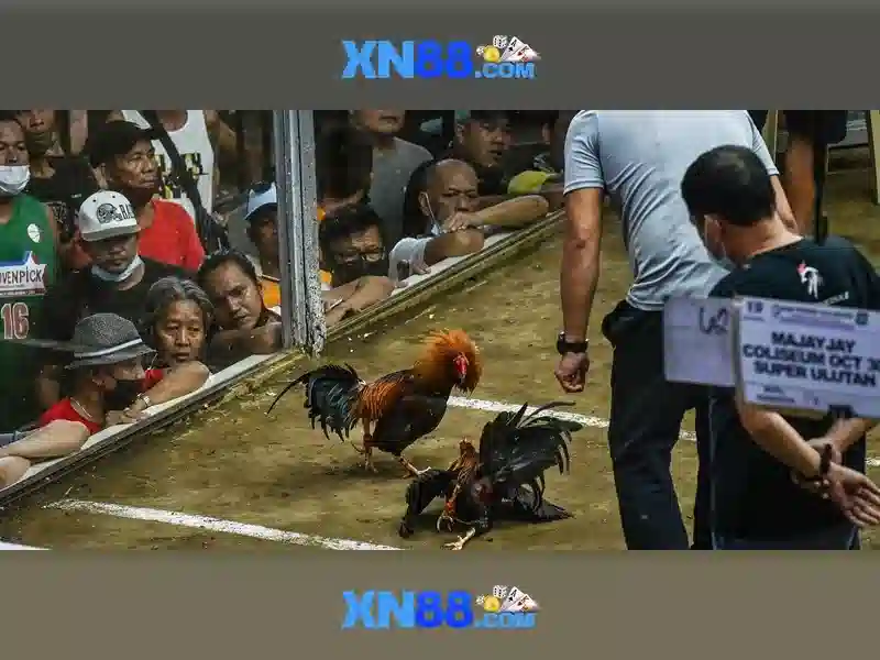 💎flights to keep airport slots💎 💎flights to keep airport slots💎