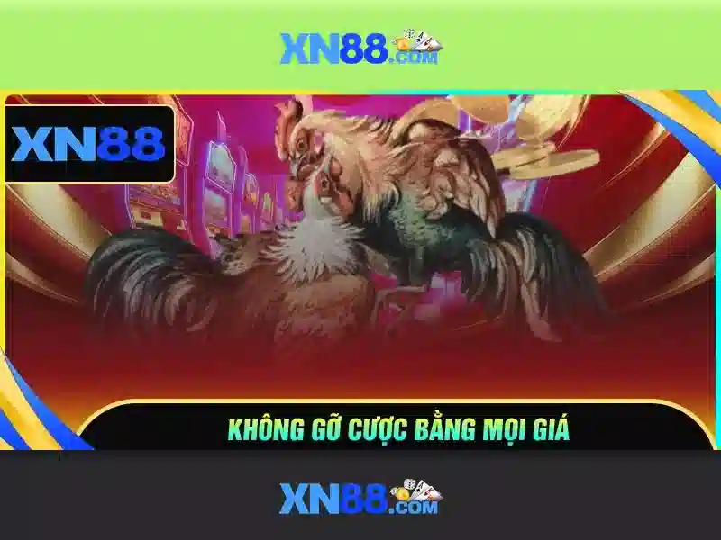 XN88 khuyến mãi - xn88 XN88 khuyến mãi - xn88