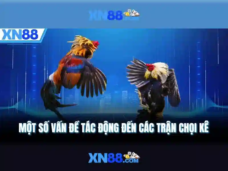 💎hlv xn88 slot là ai💎 💎hlv xn88 slot là ai💎