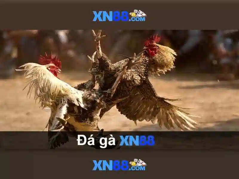 💎tao slots💎 💎tao slots💎