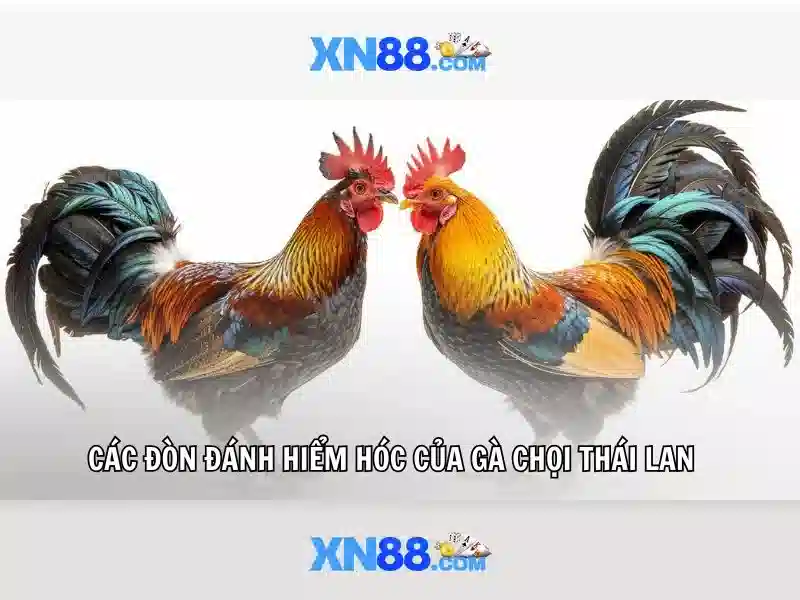 💎keo ca cuoc olympic💎 💎keo ca cuoc olympic💎