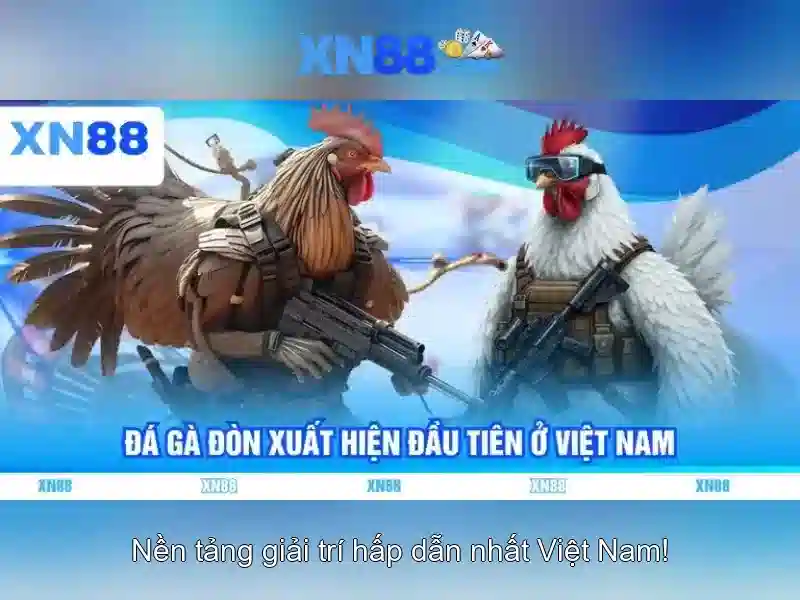 💎arcader slot💎 💎arcader slot💎