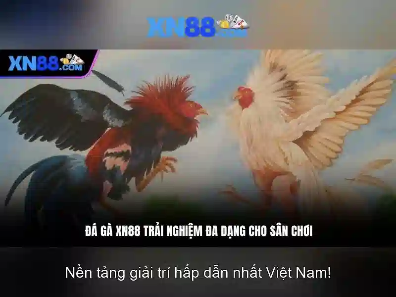 💎xem lại bóng đá tối qua kèo nhà cái💎 💎xem lại bóng đá tối qua kèo nhà cái💎