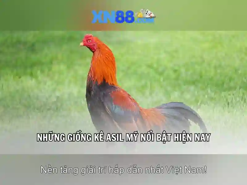 💎febet 2025 nhà cái cá cược💎 💎febet 2025 nhà cái cá cược💎