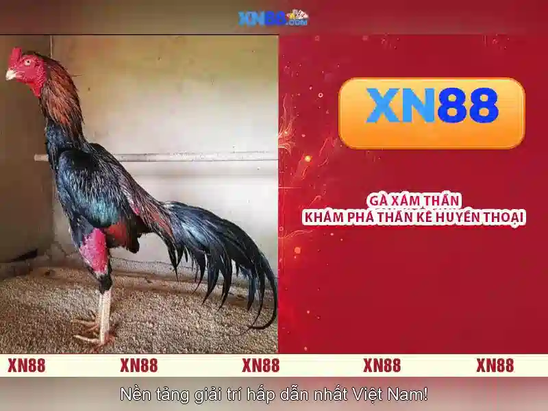 💎kèo nhà cái trận việt nam hôm nay💎 💎kèo nhà cái trận việt nam hôm nay💎